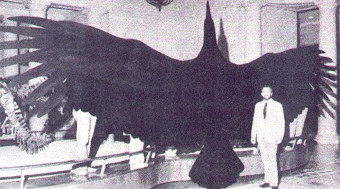 argentavis