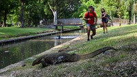 Lumpini Park di Bangkok yang mulai dibuka. (AFP)