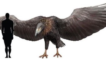 Argentavis bertelur sebanyak 1 atau 2 butir saja setiap dua tahun sekali. Ini jumlah yang sedikit jika dibandingkan dengan burung lain yang hidup saat ini. Bobot 1 telur Argentivisa bisa mencapai 1 Kg.  Foto: Istimewa