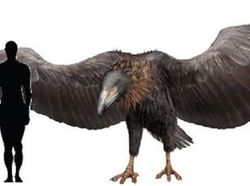 Fakta Burung Raksasa yang Pernah Menghuni Bumi