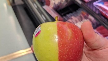 Buah aple yang memiliki dua warna. (Foto: Brightside)