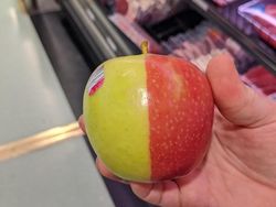 Potret Fenomena Alam yang Lucu dan Membingungkan