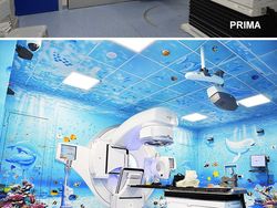 Potret Rumah Sakit yang Paling Indah Dipandang Mata