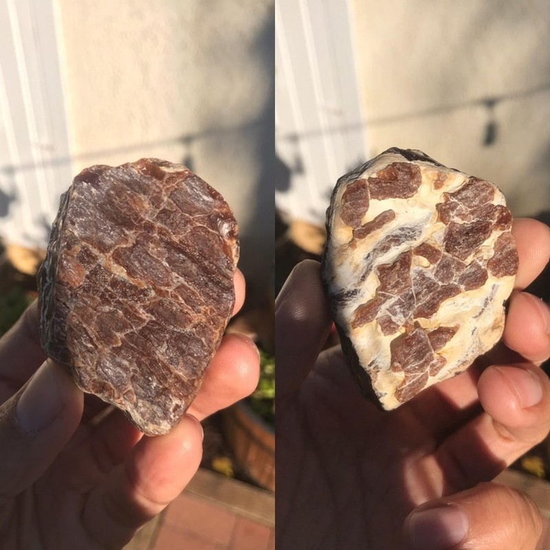 Fenomena Alam yang Lucu dan Membingungkan