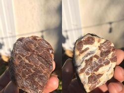 Potret Fenomena Alam yang Lucu dan Membingungkan