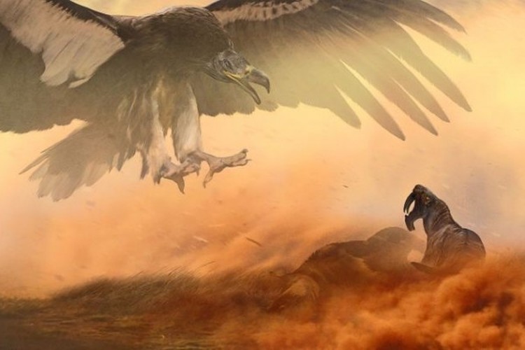 argentavis argentavis
