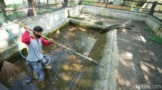 Taman Satwa Taru Jurug