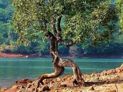 Potret Fenomena Alam yang Lucu dan Membingungkan