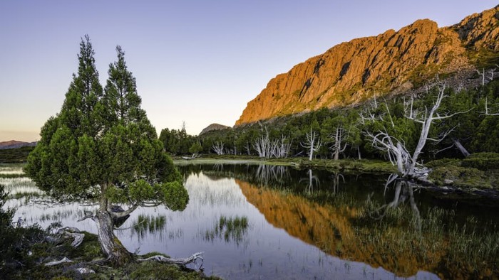 Overland Track di Cradle Mountain Lake St Clair National Park, Tasmania, Australia