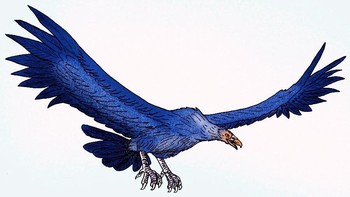 Sekitar 6 juta tahun lalu, burung predator ini hidup di Argentina dan wilayah Amerika Selatan. Foto: Wikipedia.org