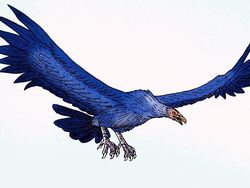 Fakta Burung Raksasa yang Pernah Menghuni Bumi