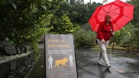 Salah satu protokol kesehatan yang harus dipatuhi oleh pengunjung adalah kebijakan physical distancing atau jaga jarak selama berkunjung ke kebun binatang tersebut.