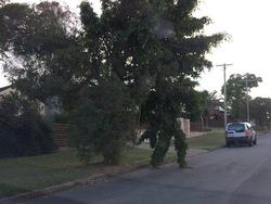 Potret Fenomena Alam yang Lucu dan Membingungkan