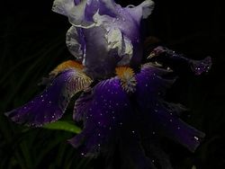 Potret Fenomena Alam yang Lucu dan Membingungkan