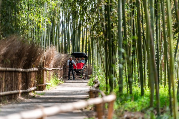 Kyoto sendiri memang dikenal sebagai pusat spiritualitas di Jepang. Di sana terdapat ratusan kuil Buddha dan Shinto. (Foto: iStock) Kyoto sendiri memang dikenal sebagai pusat spiritualitas di Jepang. Di sana terdapat ratusan kuil Buddha dan Shinto. (Foto: iStock)
