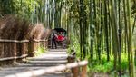 Foto: Lokasi Dalam Film Animasi Ghibli di Dunia Nyata