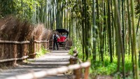 Kyoto sendiri memang dikenal sebagai pusat spiritualitas di Jepang. Di sana terdapat ratusan kuil Buddha dan Shinto. (Foto: iStock)
