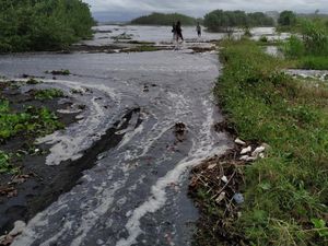 Gegara Ombak Tinggi, Sawah di Klungkung Dibanjiri Air Laut