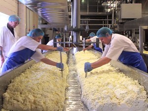 Imbas Corona, Ratusan Pabrik Keju Parmesan Terpaksa Kurangi Produksi