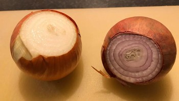 Bawang merah yang menyamar jadi bawang bombay. (Foto: Brightside)