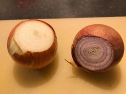 Potret Fenomena Alam yang Lucu dan Membingungkan