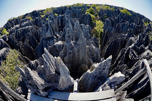 Dinyatakan sebagai Situs Warisan Dunia UNESCO pada tahun 1990 untuk keindahan alam yang luar biasa, Taman Nasional Bemaraha Tsingy yang berada di Madagaskar ini benar-benar unik. Pengunjung dapat melintasi trotoar melalui hutan batu kapur runcing yang sangat tinggi. Istimewa/T.Sahl/Shutterstock via worldatlas.com Dinyatakan sebagai Situs Warisan Dunia UNESCO pada tahun 1990 untuk keindahan alam yang luar biasa, Taman Nasional Bemaraha Tsingy yang berada di Madagaskar ini benar-benar unik. Pengunjung dapat melintasi trotoar melalui hutan batu kapur runcing yang sangat tinggi. Istimewa/T.Sahl/Shutterstock via worldatlas.com