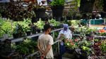 Geliat Penjual Tanaman Hias Panen Rezeki di Tengah Pandemi