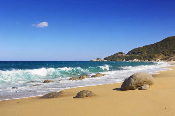 Yakushima adalah pulau subtropis yang terletak tak jauh dari ujung selatan Jepang. Tempat ini kaya akan sejarah dan legenda. (Foto: iStock) Yakushima adalah pulau subtropis yang terletak tak jauh dari ujung selatan Jepang. Tempat ini kaya akan sejarah dan legenda. (Foto: iStock)