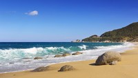 Yakushima adalah pulau subtropis yang terletak tak jauh dari ujung selatan Jepang. Tempat ini kaya akan sejarah dan legenda.  (Foto: iStock)