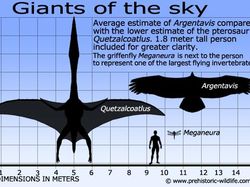 Fakta Burung Raksasa yang Pernah Menghuni Bumi