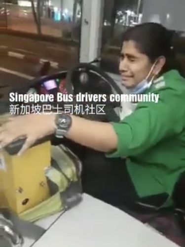 bus singapura