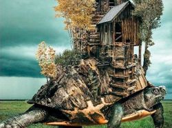 Kumpulan Fotografi Surrealis yang Unik