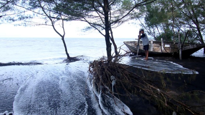Warga melihat kondisi pohon cemara yang diterjang ombak di Pantai Cemara, Banyuwangi, Jawa Timur, Kamis (28/5/2020). Ombak tinggi yang terjadi akibat musim angin timuran itu, mengakibatkan sejumlah perahu nelayan rusak, memicu banjir rob dan sekitar 700 pohon cemara di pesisir tumbang karena abrasi. ANTARA FOTO/Budi Candra Setya/aww.