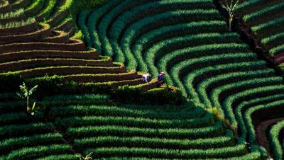 Foto: 5 Wisata Alam Buat Kamu yang Mudik ke Jawa Barat