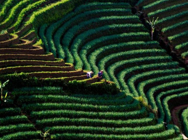 Foto: 5 Wisata Alam Buat Kamu yang Mudik ke Jawa Barat