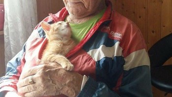 Ayahku dan kucingnya yang saling mengagumi (Foto: Boredpanda)