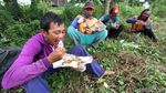 Melihat Aktivitas Buruh Tani Sragen yang Garap Sawah di Sukoharjo