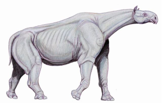 megafauna