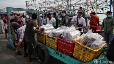 Semangat Nelayan di Tengah Pandemi COVID-19