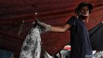 Semangat Nelayan di Tengah Pandemi COVID-19