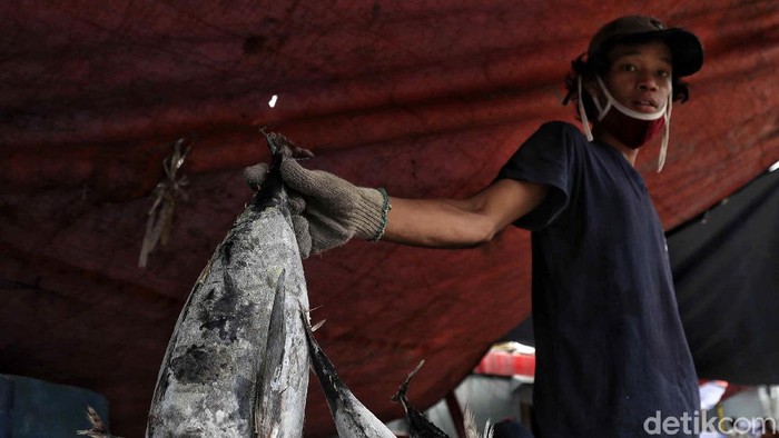 Nelayan di pantai utara Jakarta masih melaut di tengah pandemi COVID-19. Namun penjualan ikan hasil tangkapan menurun akibat pandemi tersebut.