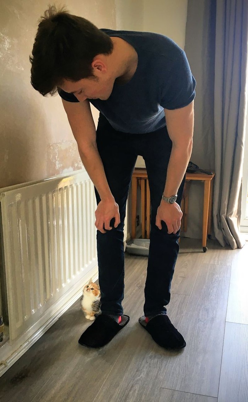 Kumpulan Foto Tatapan Hewan ke Pemiliknya Bikin Meleleh