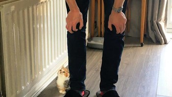 Suamiku tidak bisa memelihara hewan peliharaan. Namun ketika kami membeli rumah pertama kami, aku berikan kejutan (Foto: Boredpanda)