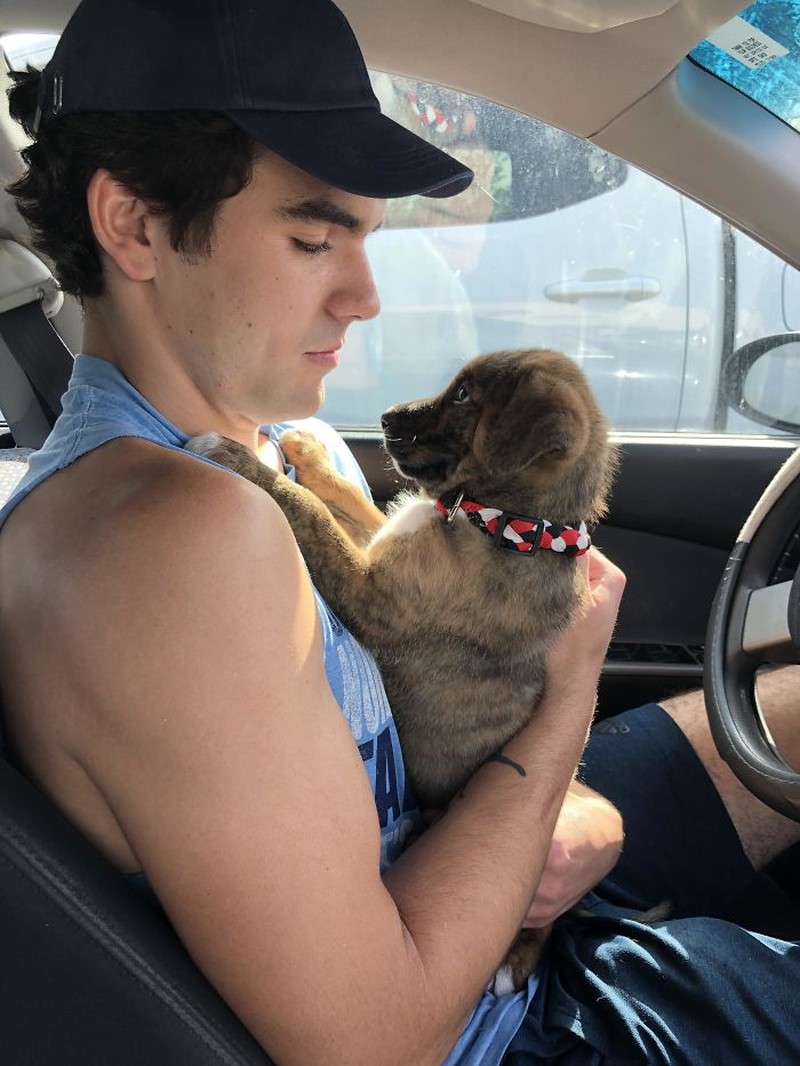 Kumpulan Foto Tatapan Hewan ke Pemiliknya Bikin Meleleh