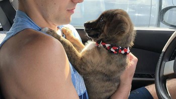 Aku bersama dengan baby Tarzan (Foto: Boredpanda)