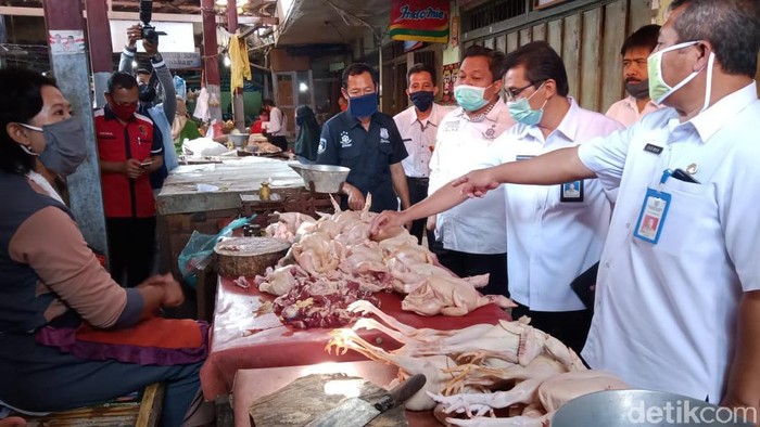 harga daging ayam