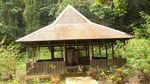Foto: Telur Spesial di Raja Ampat