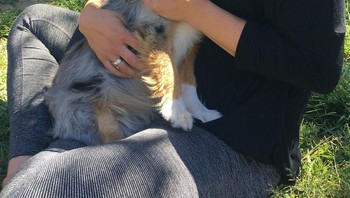 Kami mengadopsi Bella dan ia sangat menyukai tunanganku (Foto: Boredpanda)