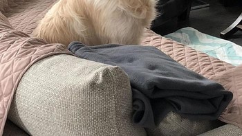 Terkadang aku menangkap sedang menatap dan tersenyum padaku. Dia adalah kebanggaanku. (Foto: Boredpanda)