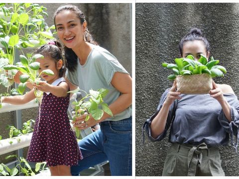 Artis yang hobi berkebun selama pandemi COVID-19